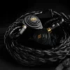 Elysian Acoustic Pilgrim:Noir